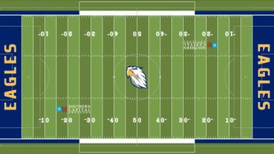 Making the Shift to Artificial Turf