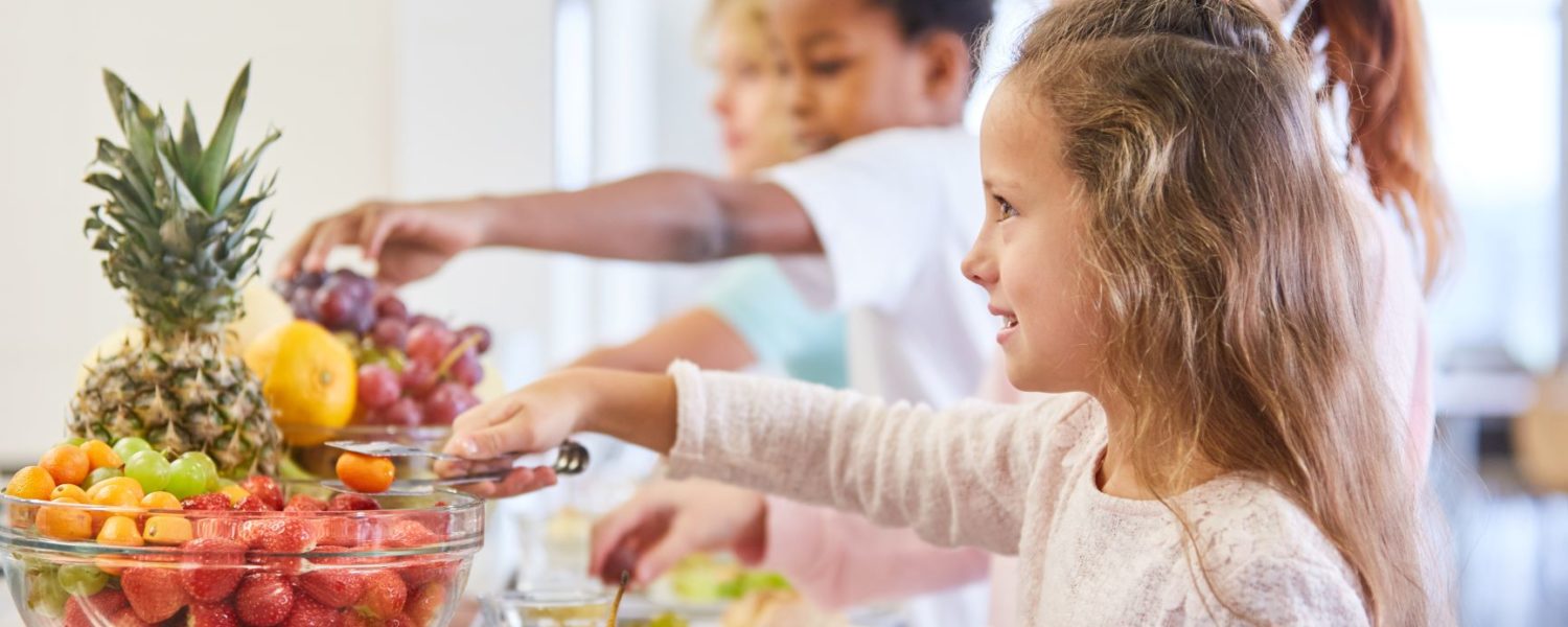 10 Reasons to Bring Your School Lunch Software to the Cloud