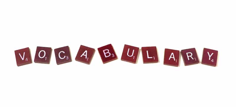 The Importance of Vocabulary