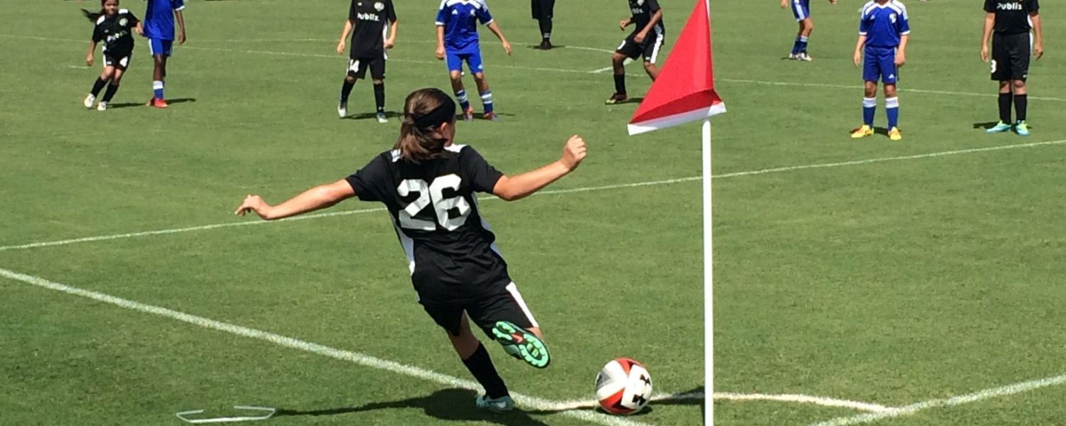 Athletic Fields Within Your Budget