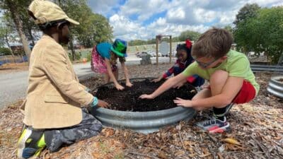 Components of a Successful School Sustainability Program